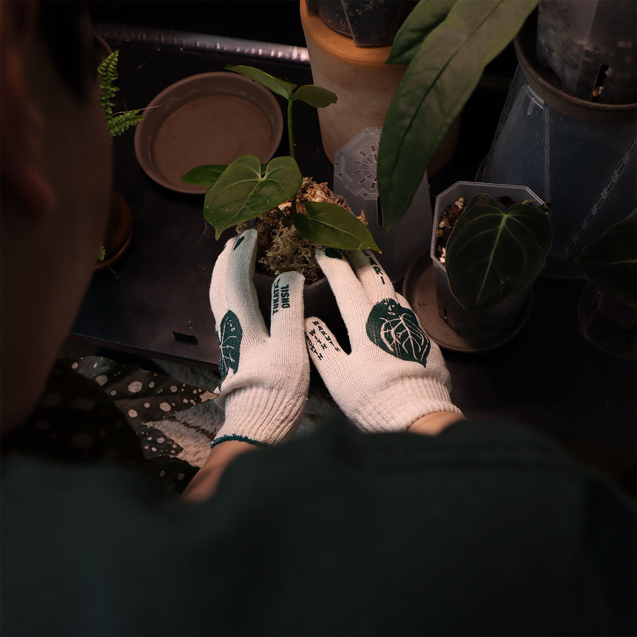 onsil planter cotton glove